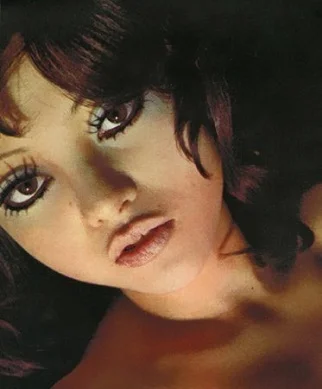 フラワーメグの若い頃！引退理由はデキ婚？結婚や本名と現在をチェック