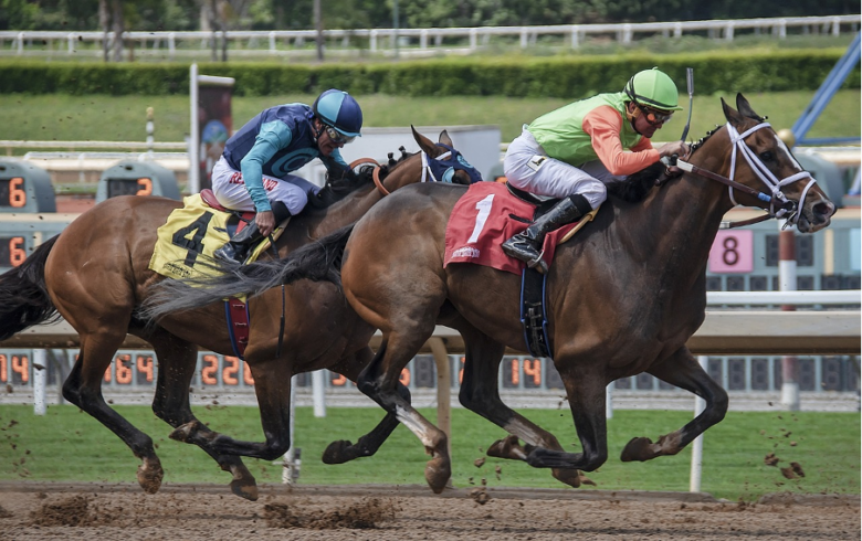 世界中の競馬