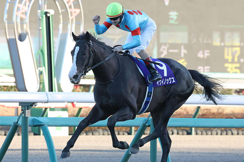 イクイノックスの引退理由は？功績を振り返る！子どものデビューはいつ？